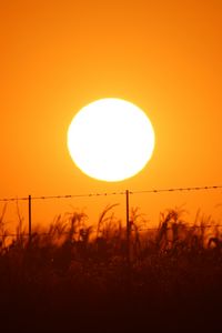 Preview wallpaper sun, sunset, wire, grass, sky