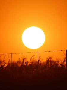 Preview wallpaper sun, sunset, wire, grass, sky