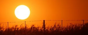 Preview wallpaper sun, sunset, wire, grass, sky