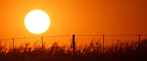 Preview wallpaper sun, sunset, wire, grass, sky