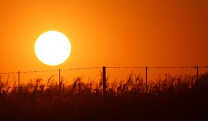 Preview wallpaper sun, sunset, wire, grass, sky