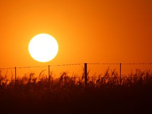 Preview wallpaper sun, sunset, wire, grass, sky