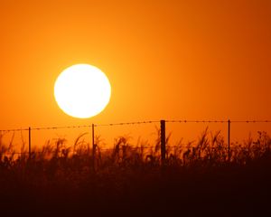 Preview wallpaper sun, sunset, wire, grass, sky