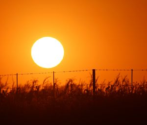 Preview wallpaper sun, sunset, wire, grass, sky