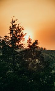 Preview wallpaper sun, trees, sky, rays