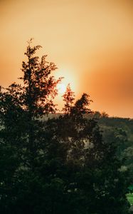 Preview wallpaper sun, trees, sky, rays