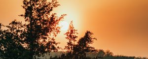Preview wallpaper sun, trees, sky, rays