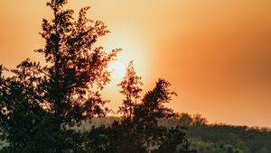 Preview wallpaper sun, trees, sky, rays