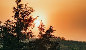Preview wallpaper sun, trees, sky, rays