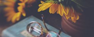 Preview wallpaper sunflower, flower, glasses, blur