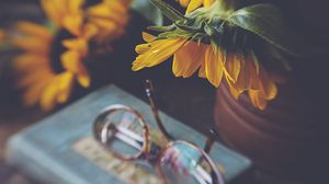 Preview wallpaper sunflower, flower, glasses, blur