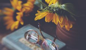 Preview wallpaper sunflower, flower, glasses, blur