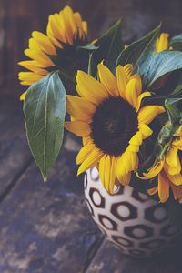 Preview wallpaper sunflower, flower, petals, vase