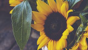 Preview wallpaper sunflower, flower, petals, vase