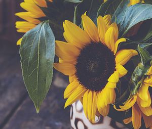 Preview wallpaper sunflower, flower, petals, vase