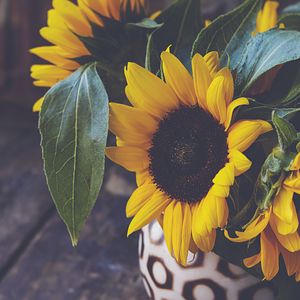 Preview wallpaper sunflower, flower, petals, vase