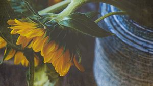 Preview wallpaper sunflower, flower, petals, macro, yellow, green