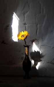 Preview wallpaper sunflower, flower, vase, rays, wall