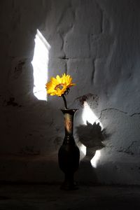 Preview wallpaper sunflower, flower, vase, rays, wall