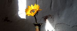 Preview wallpaper sunflower, flower, vase, rays, wall