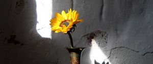 Preview wallpaper sunflower, flower, vase, rays, wall