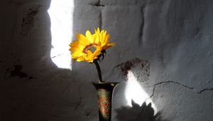 Preview wallpaper sunflower, flower, vase, rays, wall