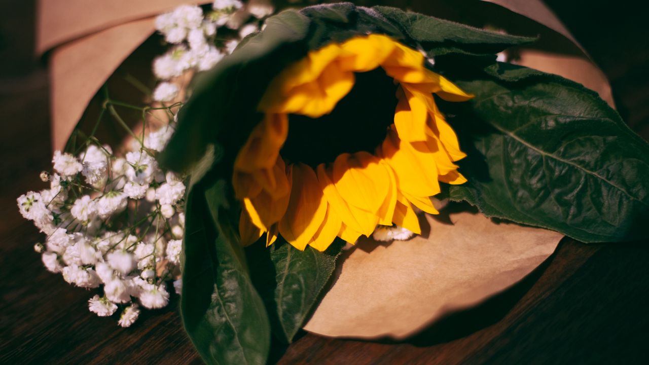Wallpaper sunflower, flowers, bouquet, composition