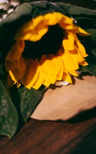 Preview wallpaper sunflower, flowers, bouquet, composition