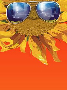 Preview wallpaper sunflower, glasses, flower