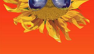 Preview wallpaper sunflower, glasses, flower