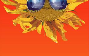 Preview wallpaper sunflower, glasses, flower