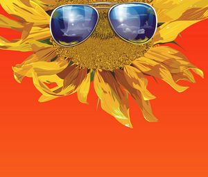 Preview wallpaper sunflower, glasses, flower