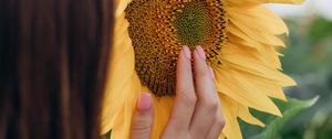 Preview wallpaper sunflower, hand, flower, girl