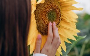 Preview wallpaper sunflower, hand, flower, girl