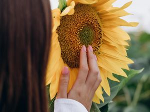 Preview wallpaper sunflower, hand, flower, girl