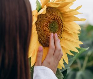 Preview wallpaper sunflower, hand, flower, girl