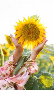 Preview wallpaper sunflower, hands, yellow, flower, petals