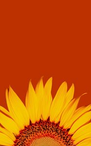 Preview wallpaper sunflower, petals, yellow, macro