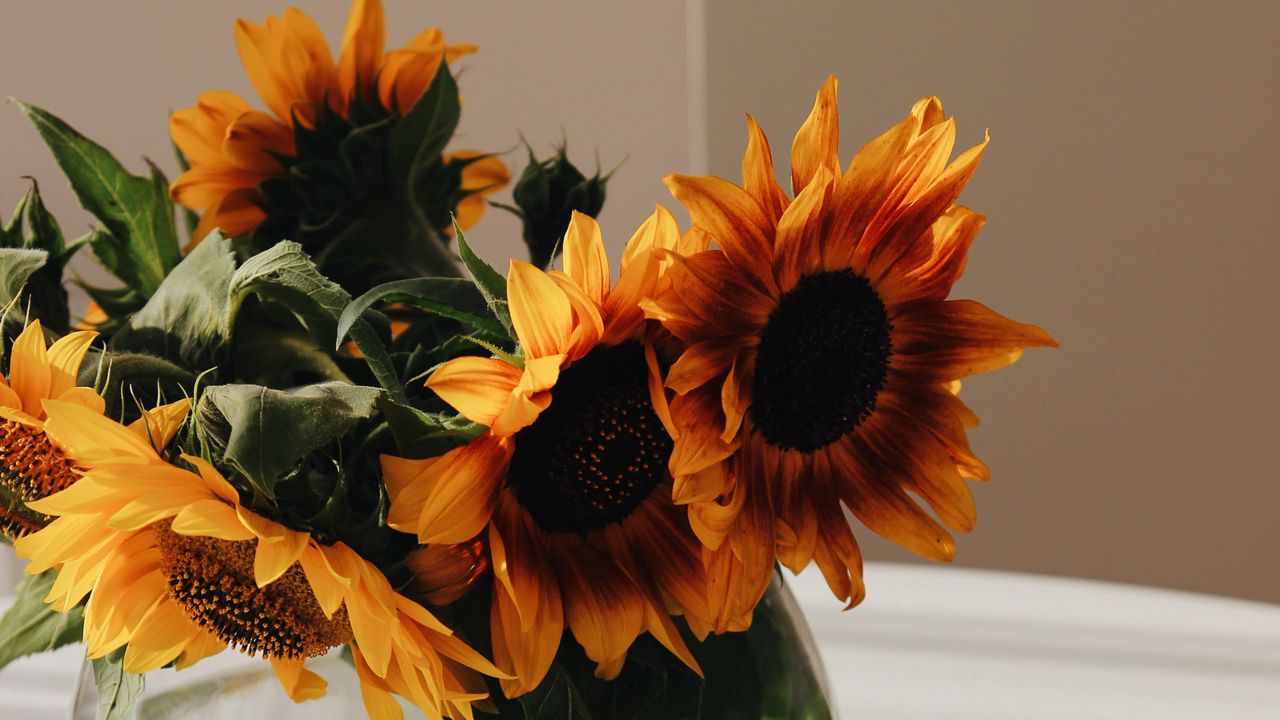 Wallpaper sunflowers, bouquet, cup, vase, table