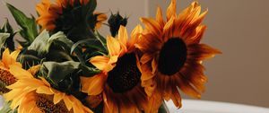 Preview wallpaper sunflowers, bouquet, cup, vase, table