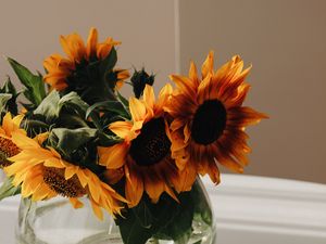 Preview wallpaper sunflowers, bouquet, cup, vase, table