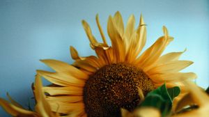 Preview wallpaper sunflowers, bouquet, vase, flowers, yellow