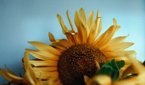 Preview wallpaper sunflowers, bouquet, vase, flowers, yellow