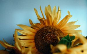 Preview wallpaper sunflowers, bouquet, vase, flowers, yellow