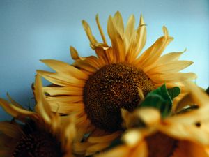 Preview wallpaper sunflowers, bouquet, vase, flowers, yellow