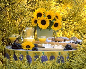 Preview wallpaper sunflowers, bouquet, vase, table, pitcher, biscuits, grapes, garden, beauty