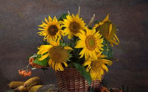 Preview wallpaper sunflowers, corn, mountain ash, seeds, trash, still life