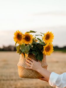 Preview wallpaper sunflowers, flowers, basket, hands