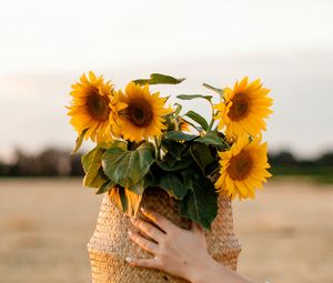 Preview wallpaper sunflowers, flowers, basket, hands