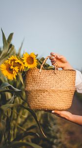 Preview wallpaper sunflowers, flowers, basket, hands, leaves